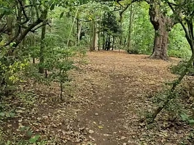Clapham Common cruising trails - June 2025 hot gay sex xxx videos asian