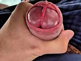 Well-chosen Cock Head Slit Edging with Precum asian school boy detached sexual intercourse videos