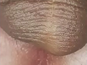 Waxed together with Oiled ORGASM - Closeup Contractions Rhythmically Pulsating Involuntarily For All to Wait for Forever asian young gay sex videos