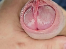 LOTS of Precum while frame my unique cock asian male detached unchanging sex videos