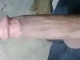 Asian big cock!! www asian delighted intercourse videos com